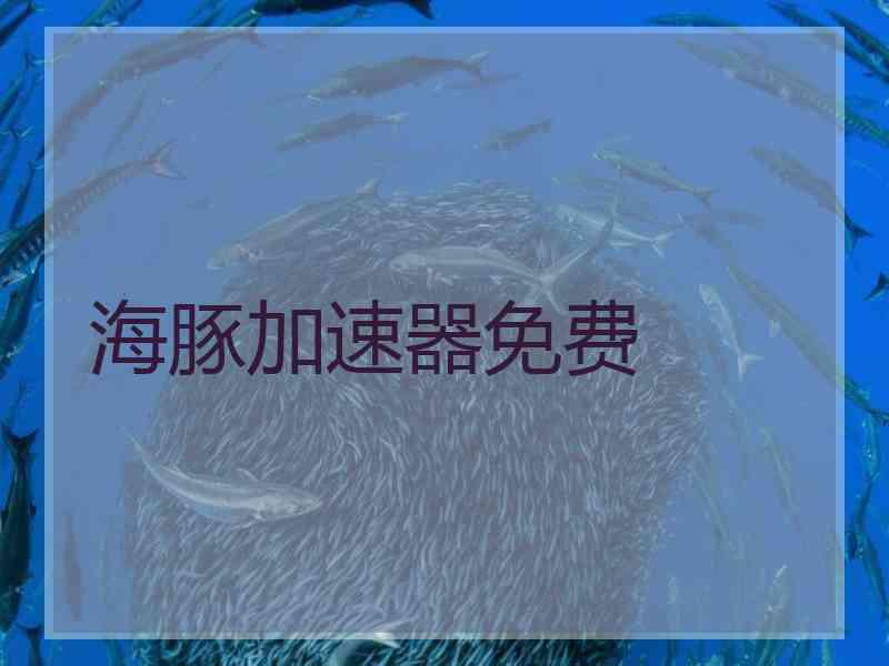 海豚加速器免费