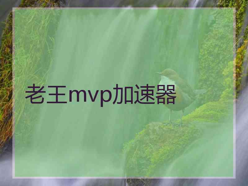 老王mvp加速器