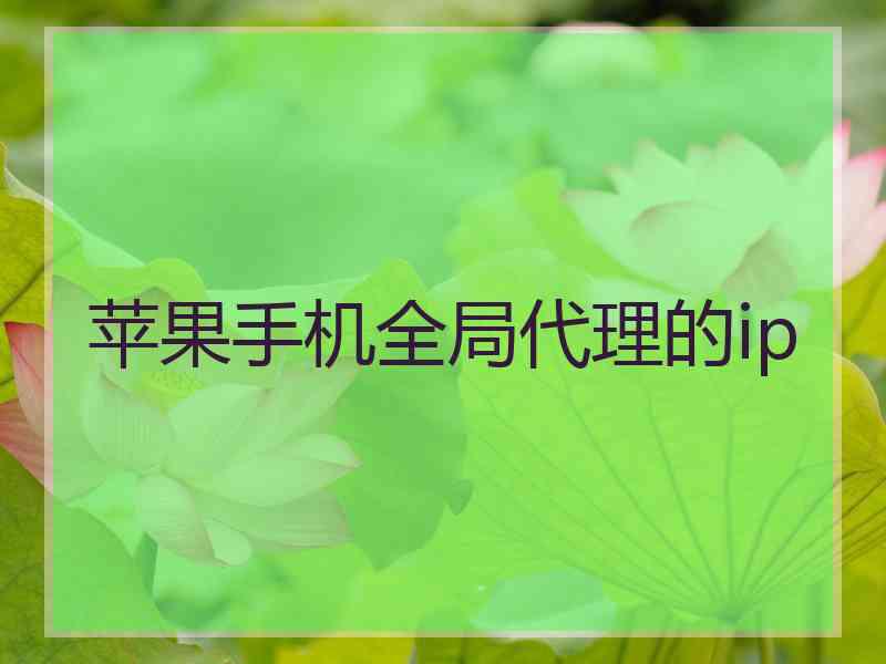 苹果手机全局代理的ip