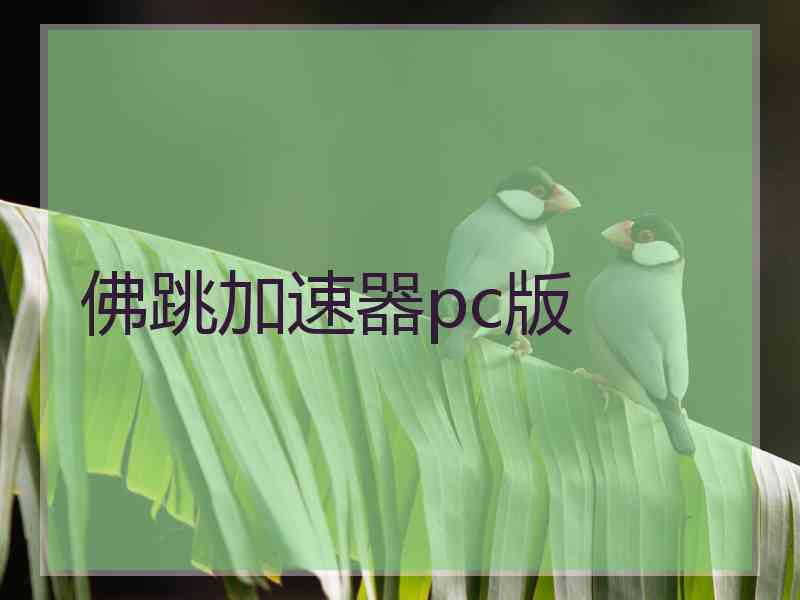 佛跳加速器pc版