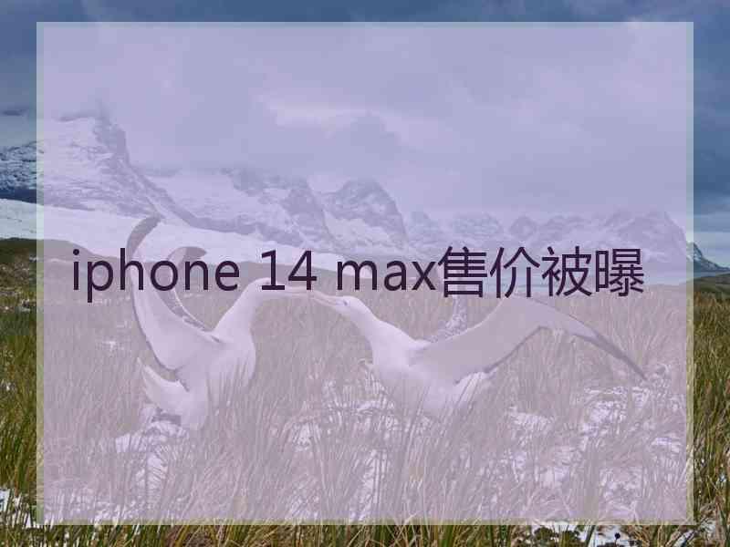 iphone 14 max售价被曝