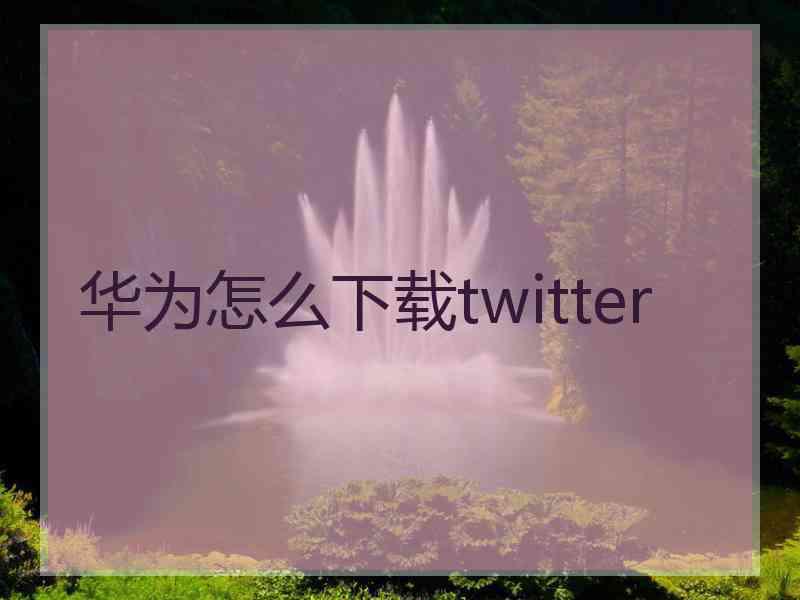 华为怎么下载twitter