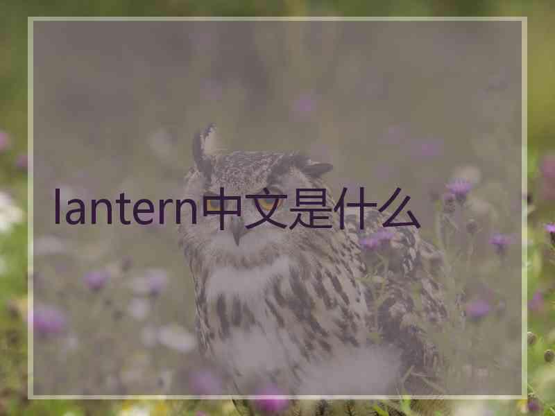 lantern中文是什么