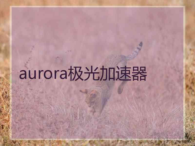 aurora极光加速器