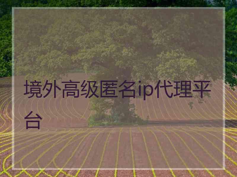 境外高级匿名ip代理平台