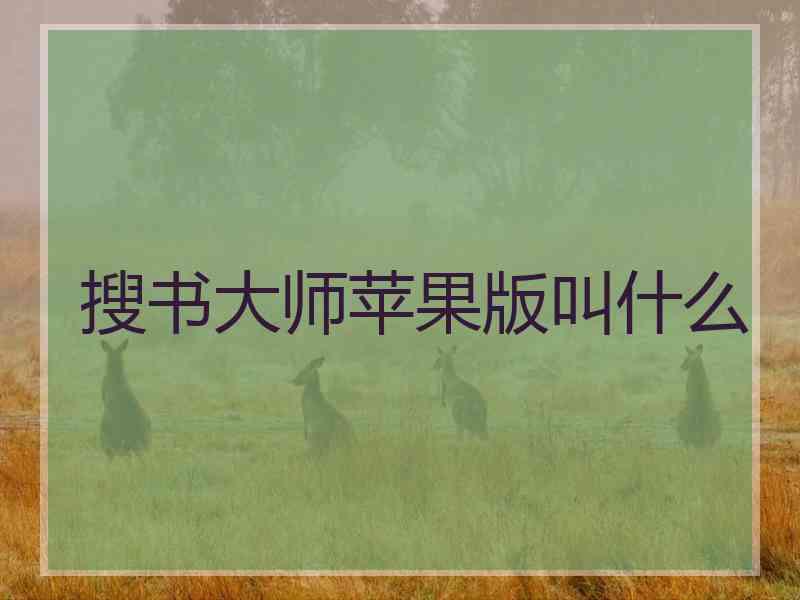 搜书大师苹果版叫什么