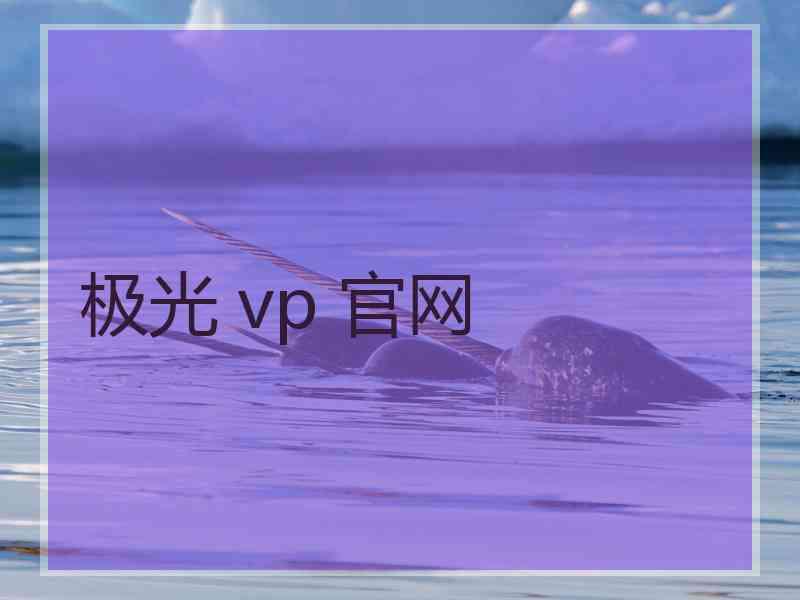 极光 vp 官网