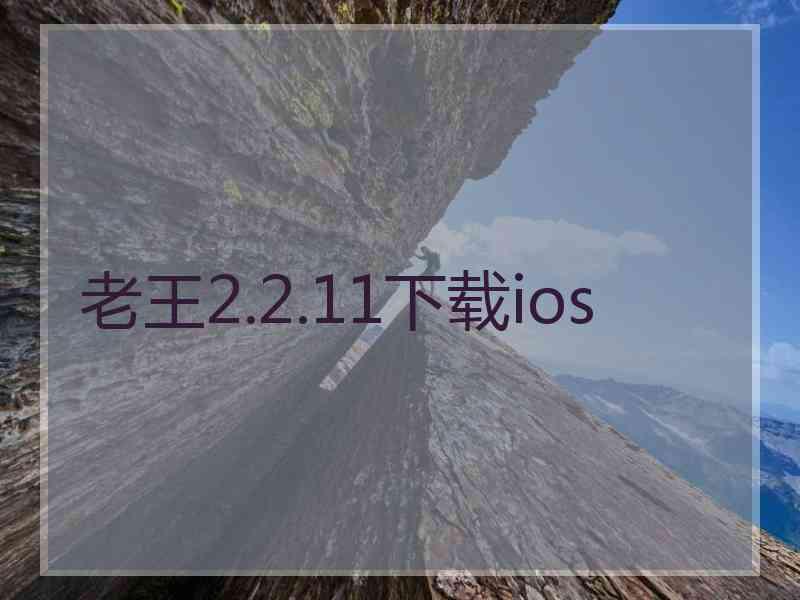 老王2.2.11下载ios