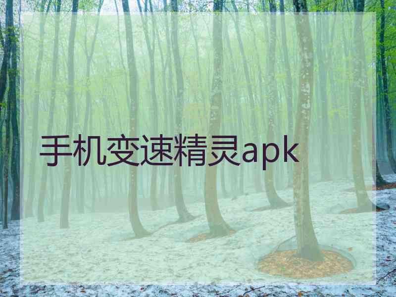 手机变速精灵apk