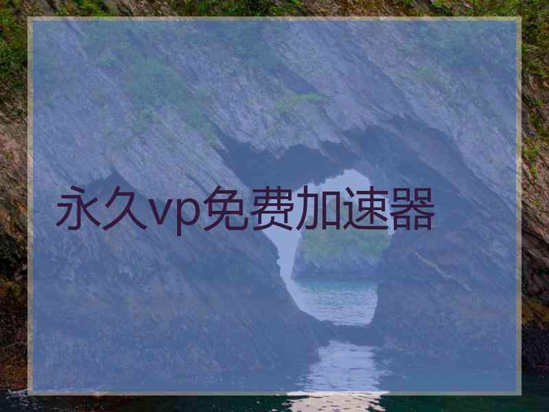 永久vp免费加速器