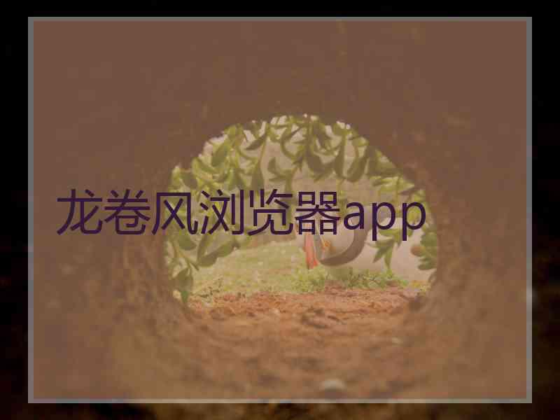 龙卷风浏览器app