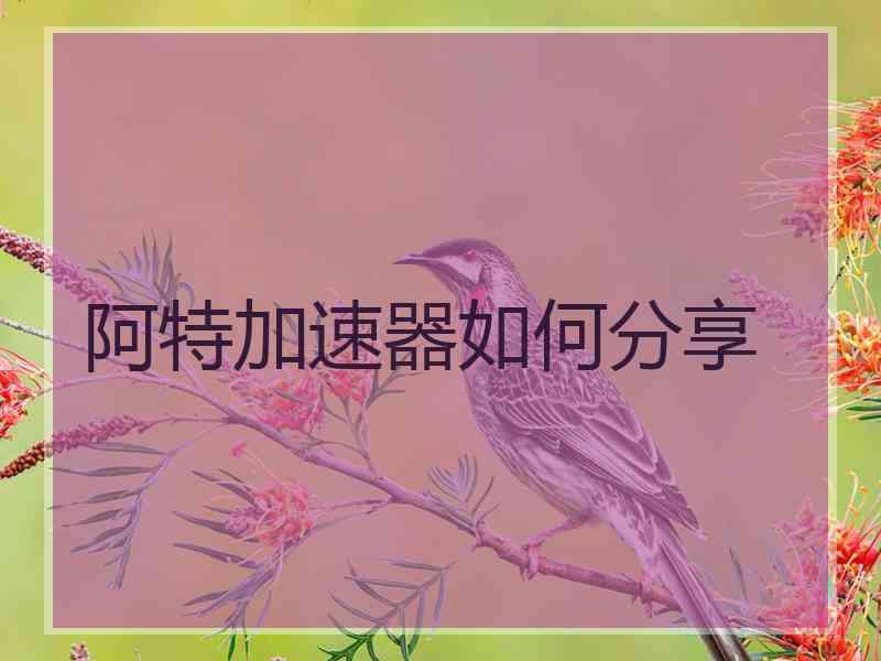 阿特加速器如何分享