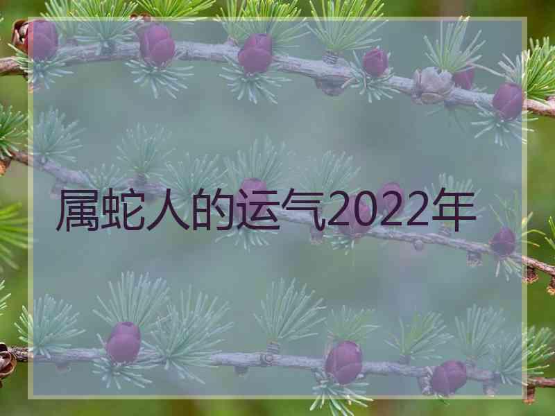 属蛇人的运气2022年