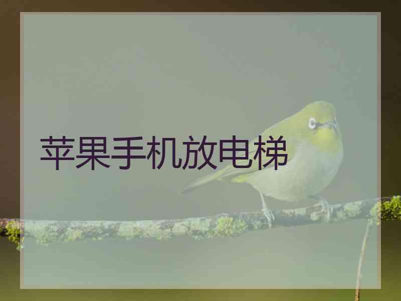 苹果手机放电梯