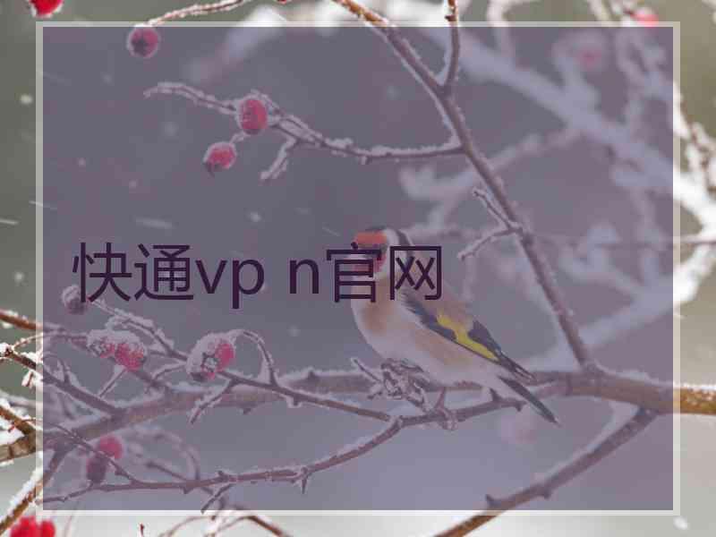 快通vp n官网