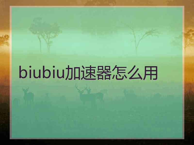 biubiu加速器怎么用