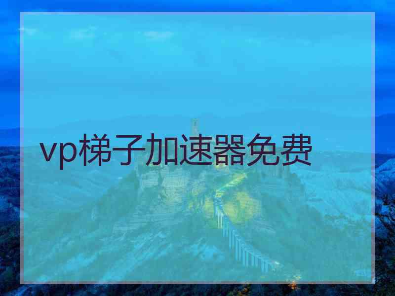 vp梯子加速器免费