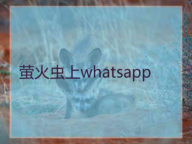 萤火虫上whatsapp