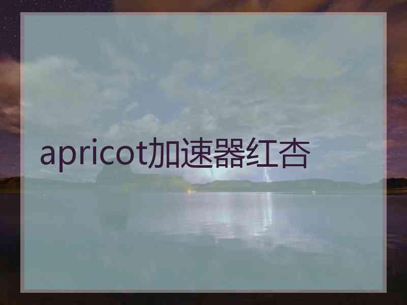 apricot加速器红杏