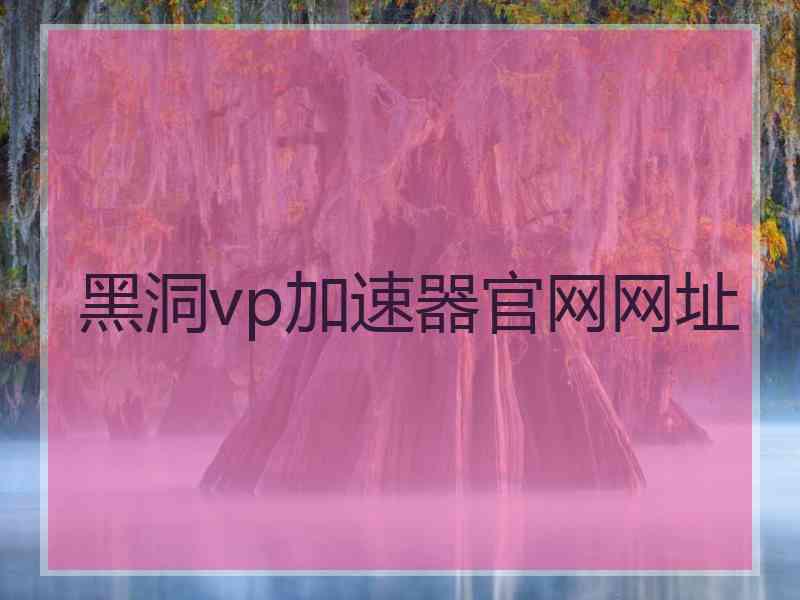 黑洞vp加速器官网网址