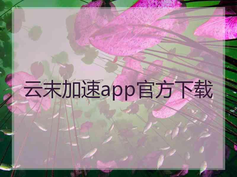 云末加速app官方下载