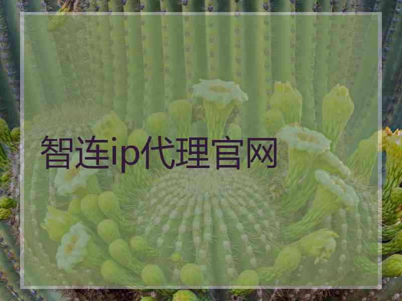 智连ip代理官网