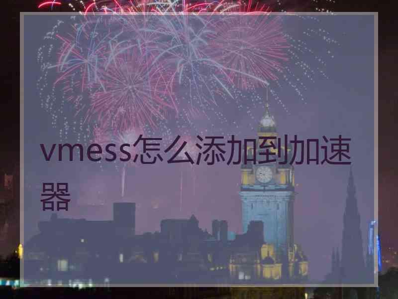 vmess怎么添加到加速器