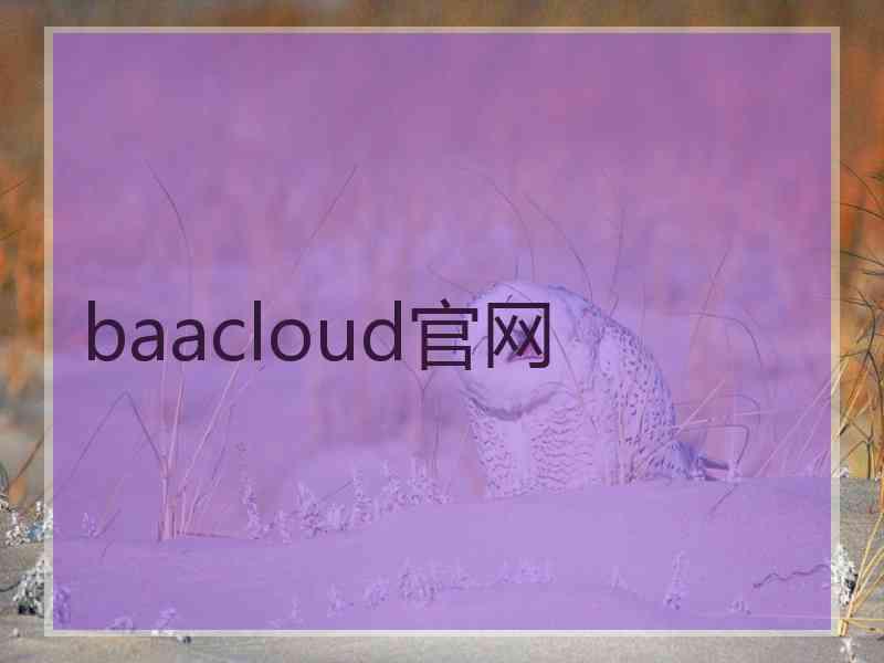 baacloud官网