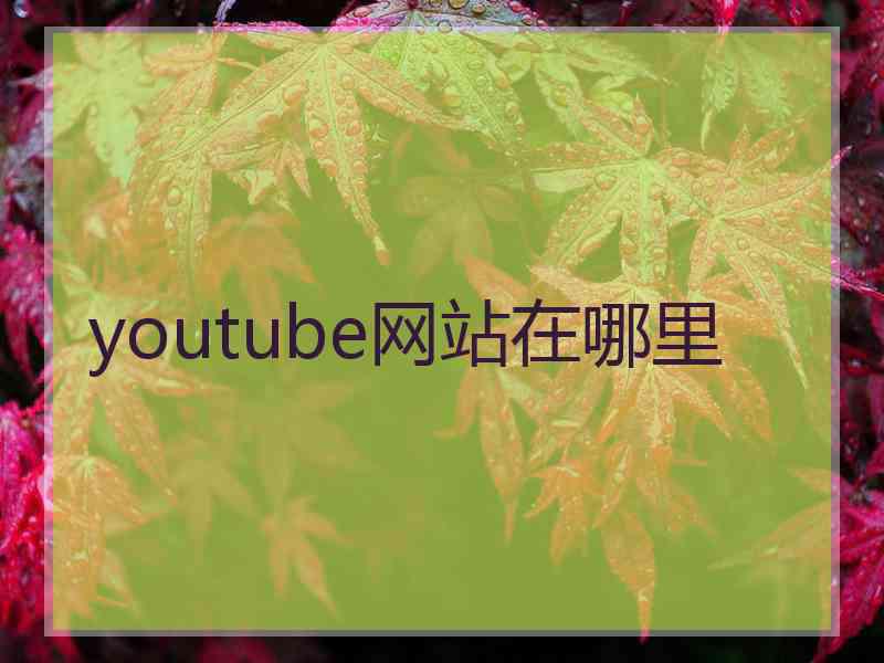 youtube网站在哪里