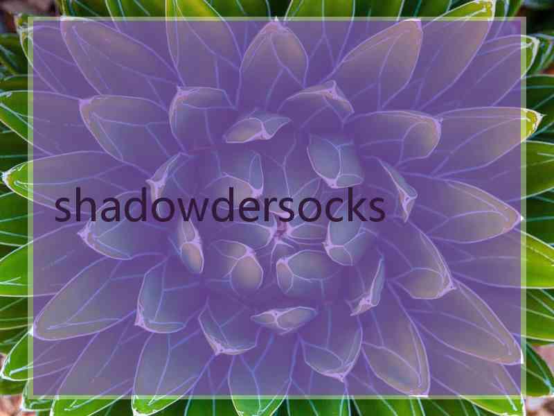 shadowdersocks