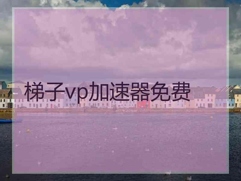 梯子vp加速器免费