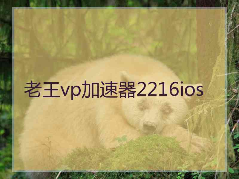 老王vp加速器2216ios