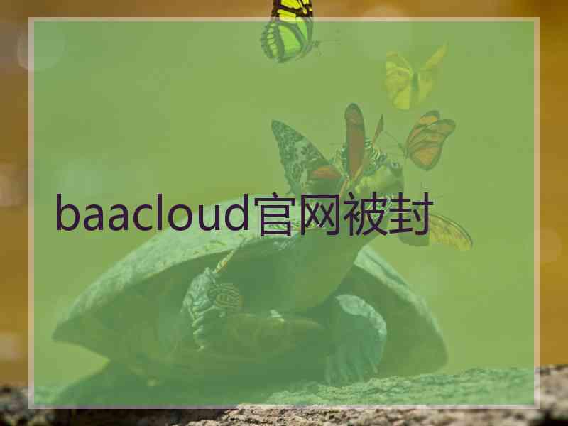 baacloud官网被封