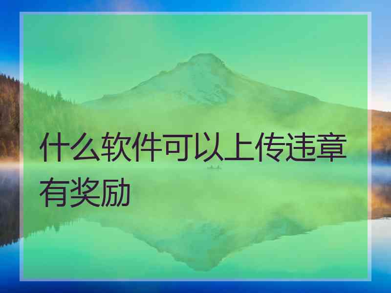 什么软件可以上传违章有奖励