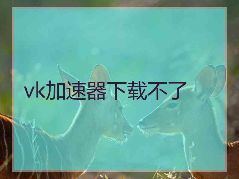 vk加速器下载不了