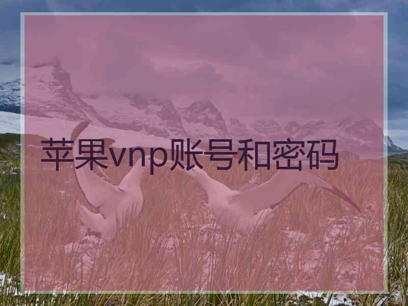 苹果vnp账号和密码