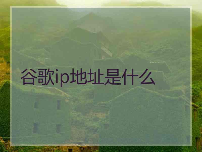 谷歌ip地址是什么