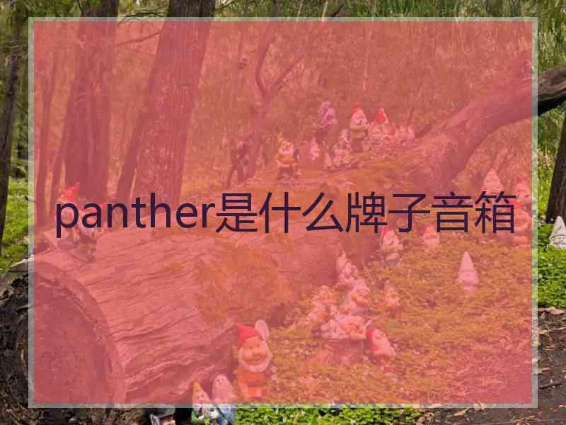 panther是什么牌子音箱