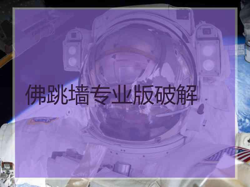 佛跳墙专业版破解