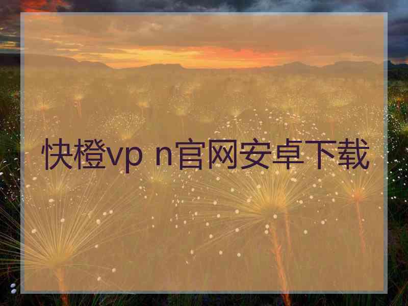 快橙vp n官网安卓下载