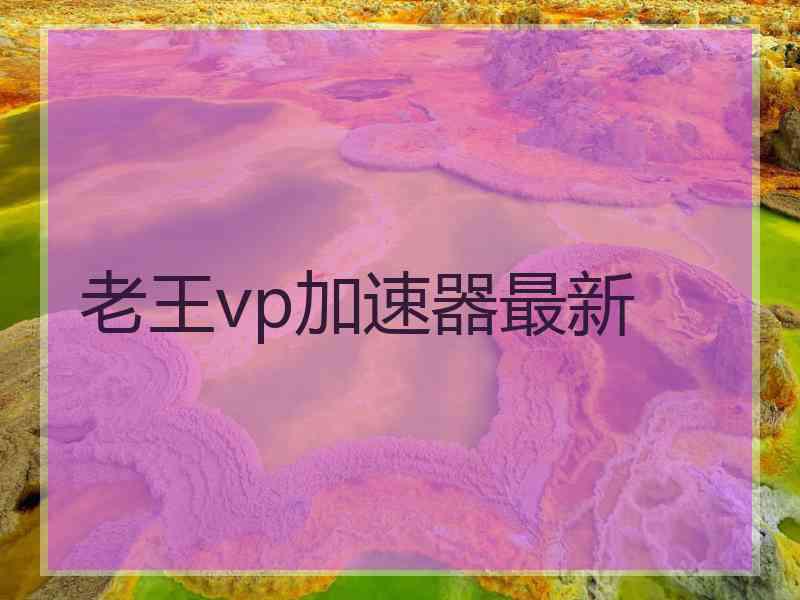 老王vp加速器最新