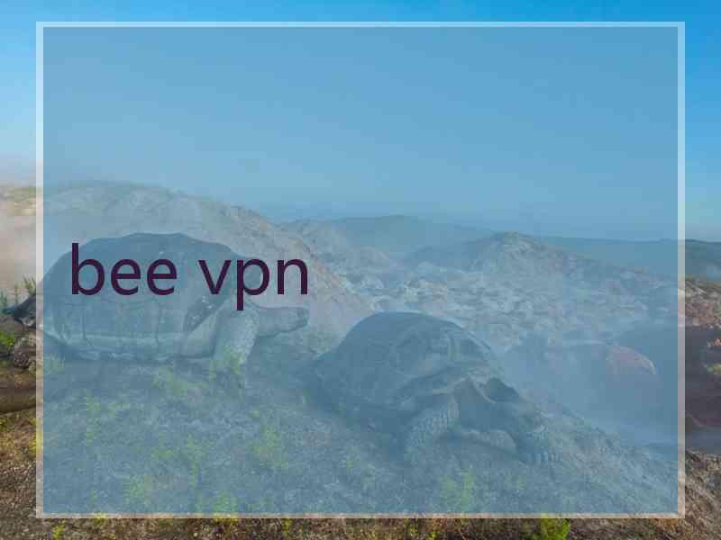 bee vpn