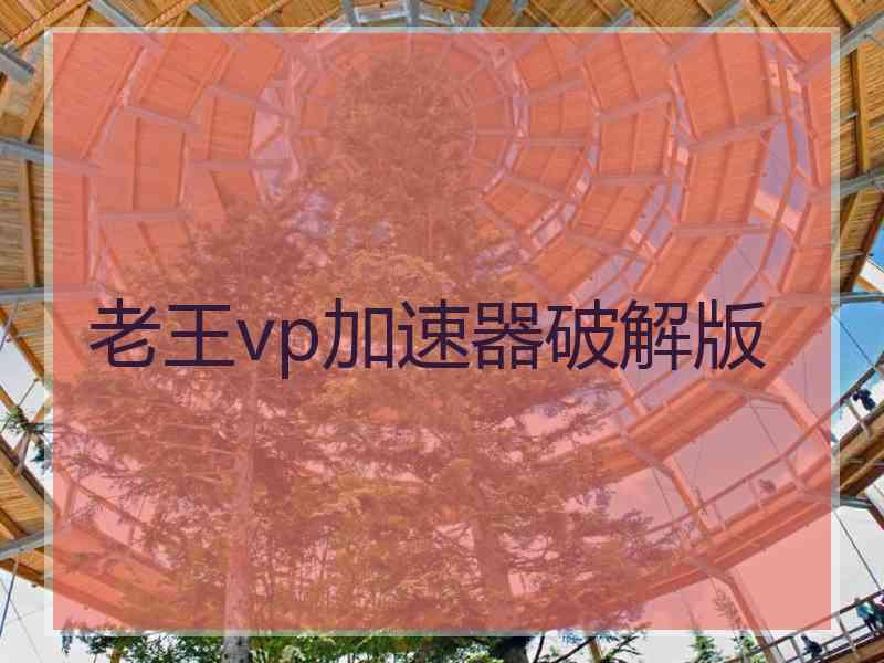 老王vp加速器破解版